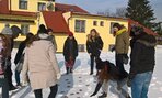 WP_20180303_09_20_14_Pro_LI - kópia