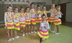 Team MiniSpirit